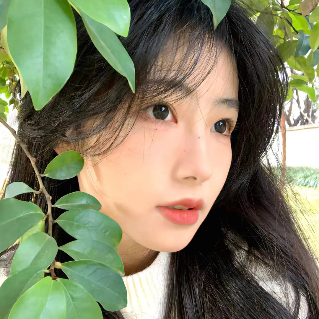 人间风雨情